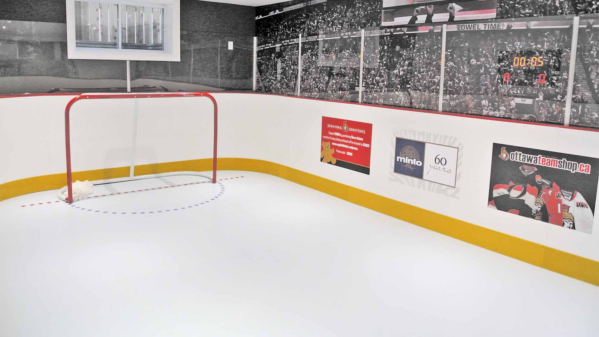 home synthetic ice rink