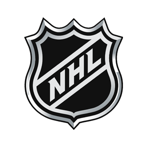 NHL synthetic ice