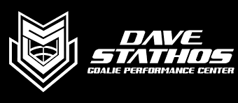 synthetic ice goalie training